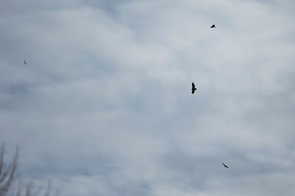 DSC_3925_edited