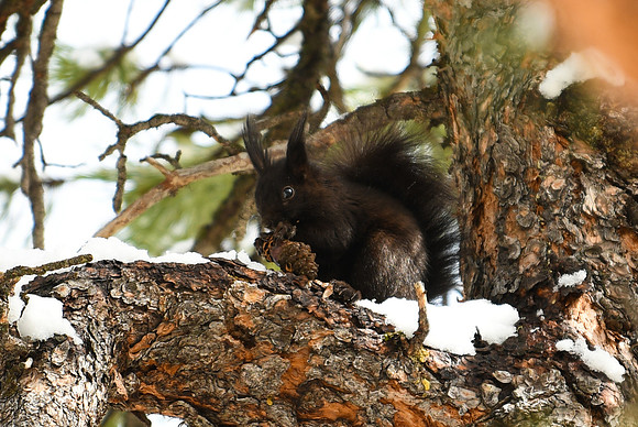 DSC_5245_edited