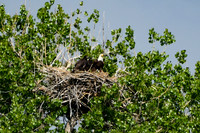 DSC_8313_edited-1