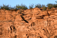 DSC_6619_edited