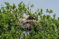 DSC_8321_edited-1
