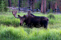 DSC_8338_edited