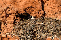 DSC_6569_edited-1