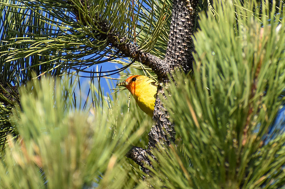 DSC_0400_edited