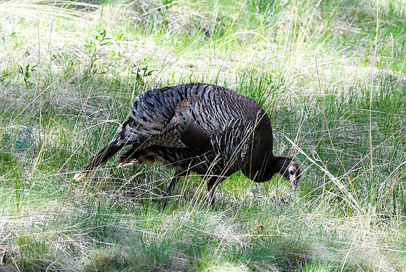 DSC_6982_edited