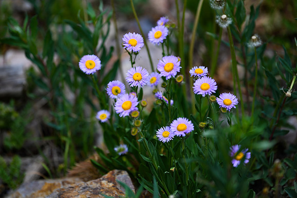 DSC_3060_edited