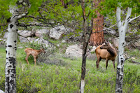 DSC_5305_edited-1
