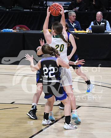 DSC_8393_edited
