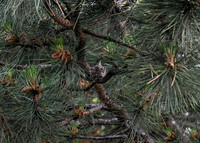 DSC_1398_edited