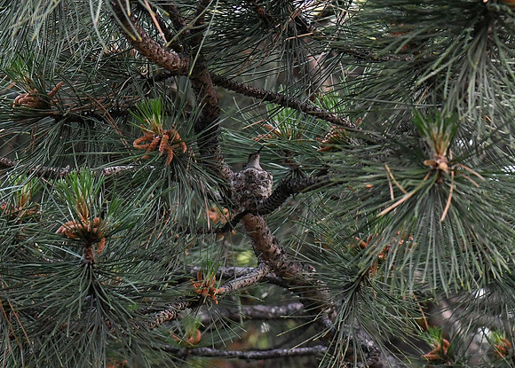 DSC_1398_edited