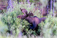 DSC_4686_edited
