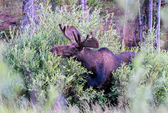 DSC_4686_edited