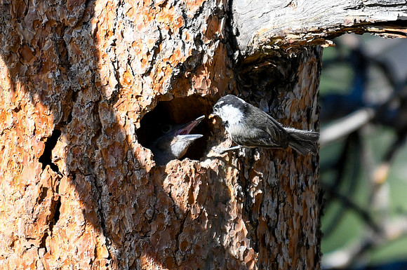 DSC_2285_edited