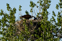 DSC_7644_edited