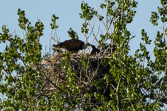 DSC_7644_edited