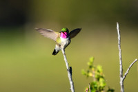 DSC_9082_edited-3