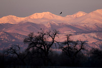 DSC_0229_edited-2