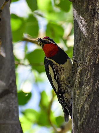 DSC_0128_edited