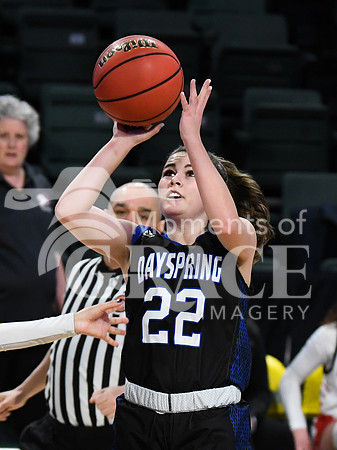 DSC_8835_edited