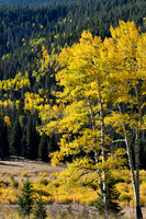 DSC_0450_edited