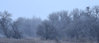 DSC_3881_edited