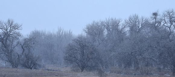DSC_3881_edited