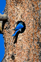 DSC_9242_edited
