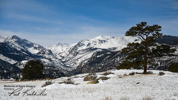 DSC_0833_edited
