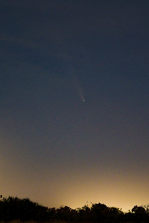 2024-10-15 - DSC_1444_edited