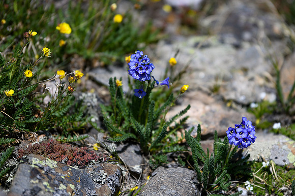 DSC_2777_edited