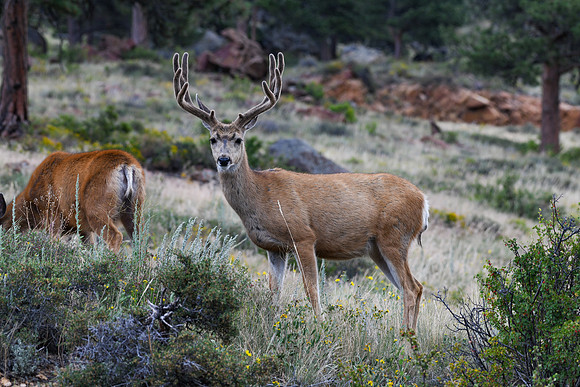 DSC_4934_edited