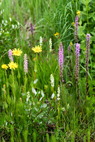 DSC_3067_edited