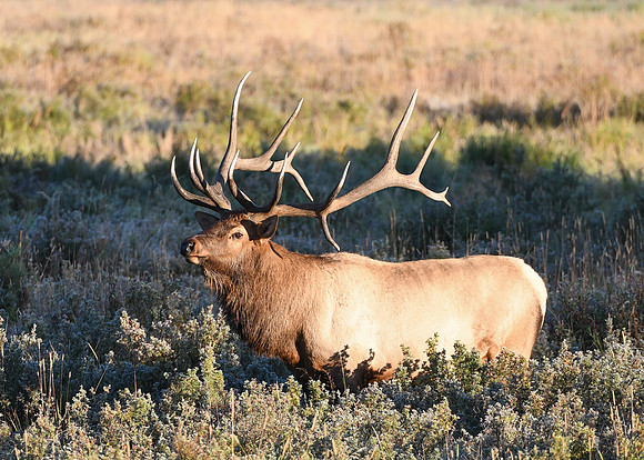 DSC_5655_edited.2