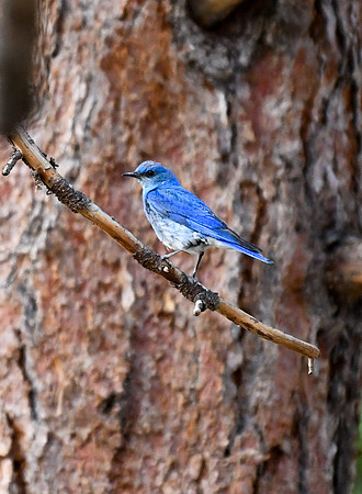 DSC_4554_edited