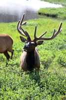 DSC_1604_edited