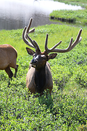 DSC_1604_edited