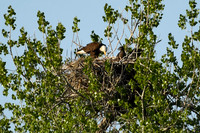 DSC_7653_edited