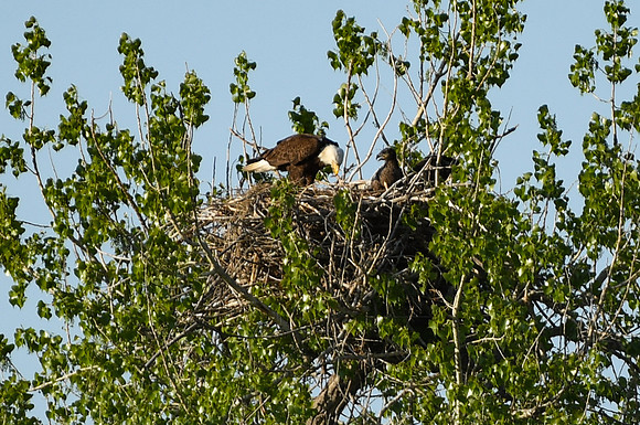 DSC_7653_edited