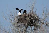DSC_3573_edited