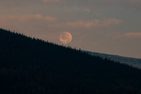 DSC_5271_edited