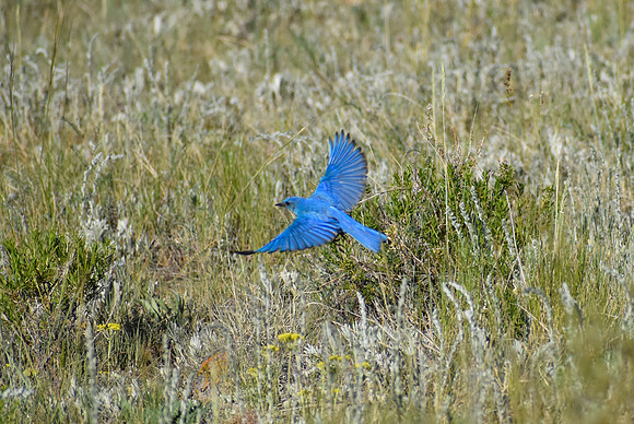 DSC_0383_edited