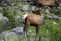 DSC_5344_edited-1