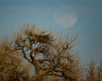DSC_4343_edited