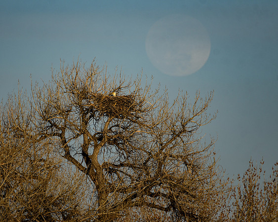 DSC_4343_edited