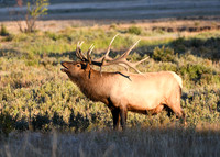 DSC_5612_edited
