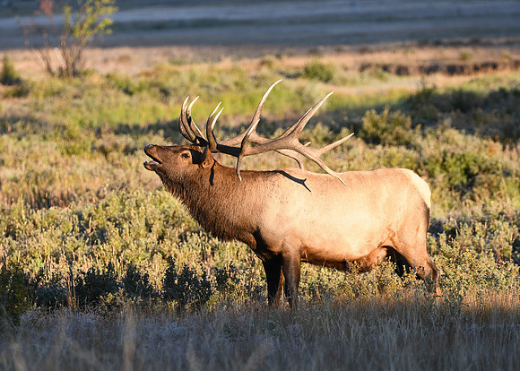 DSC_5612_edited