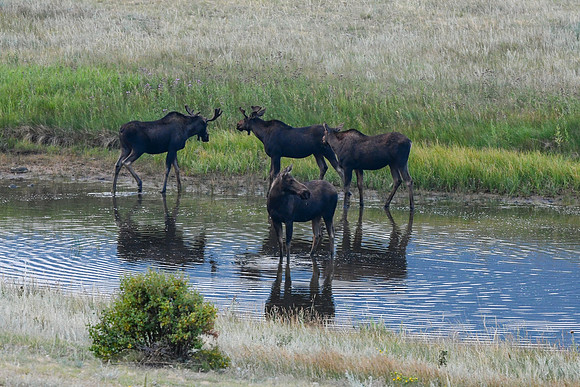DSC_5233_edited