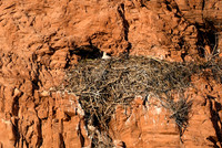 DSC_6569_edited
