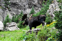 DSC_0270_edited - MK