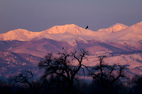 DSC_0230_edited-1